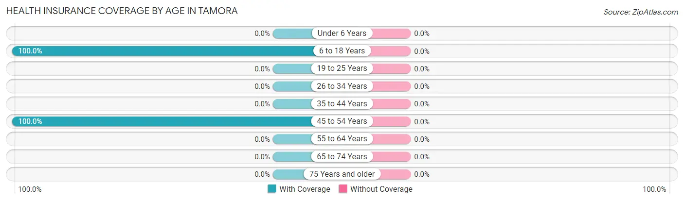 Health Insurance Coverage by Age in Tamora