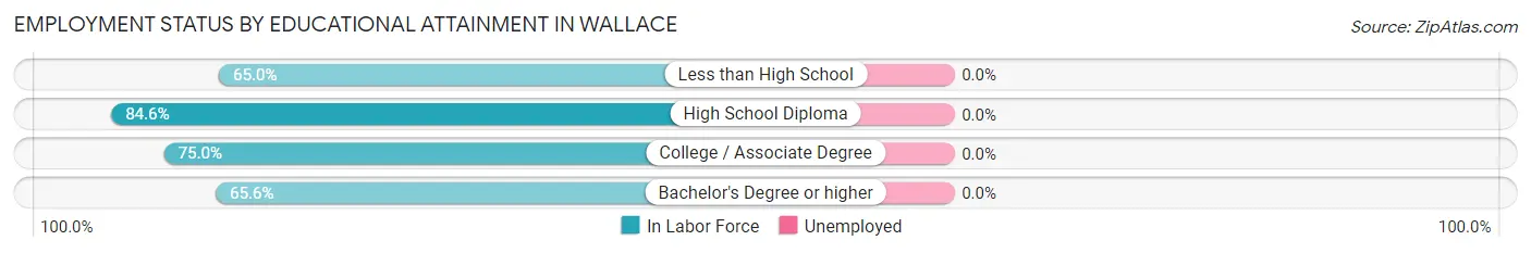 Employment Status by Educational Attainment in Wallace