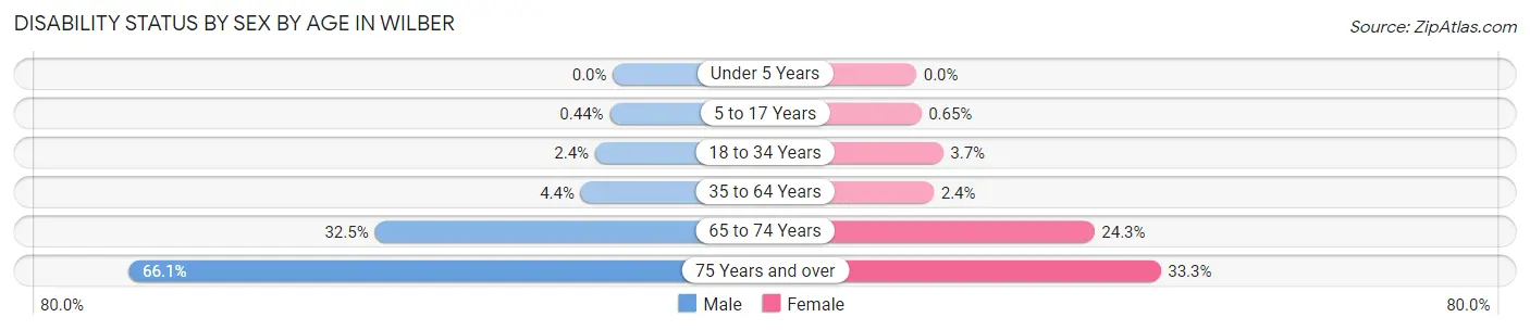 Disability Status by Sex by Age in Wilber