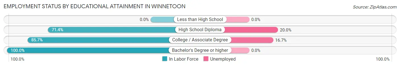 Employment Status by Educational Attainment in Winnetoon