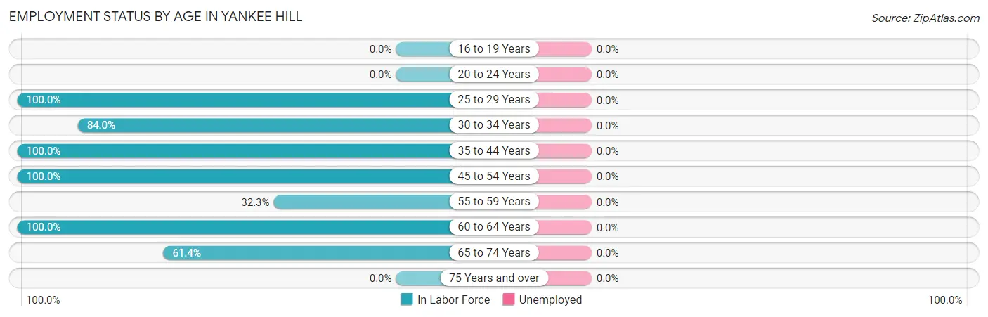 Employment Status by Age in Yankee Hill