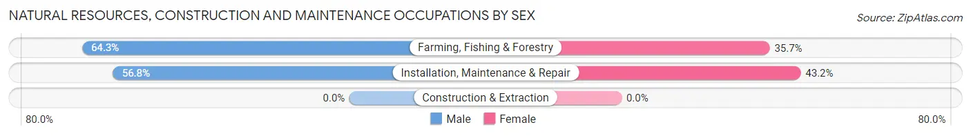 Natural Resources, Construction and Maintenance Occupations by Sex in Yankee Hill