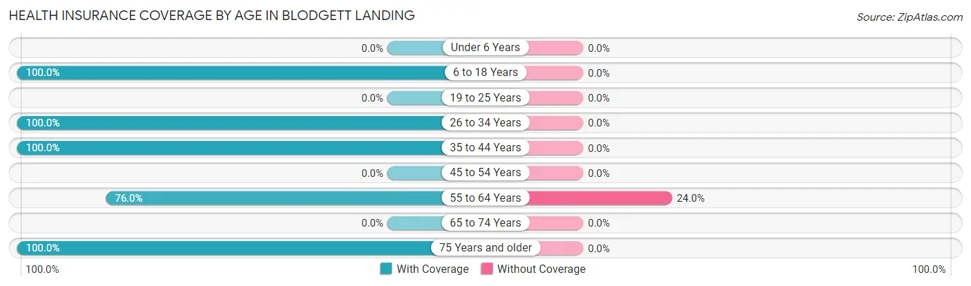 Health Insurance Coverage by Age in Blodgett Landing