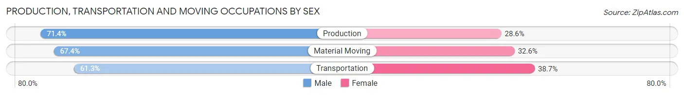 Production, Transportation and Moving Occupations by Sex in Derry