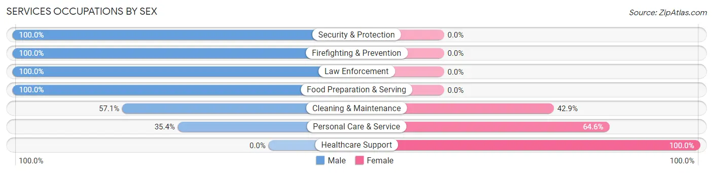 Services Occupations by Sex in East Merrimack