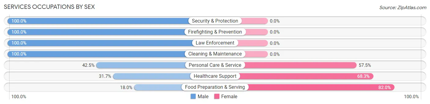 Services Occupations by Sex in Hudson
