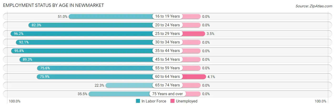 Employment Status by Age in Newmarket