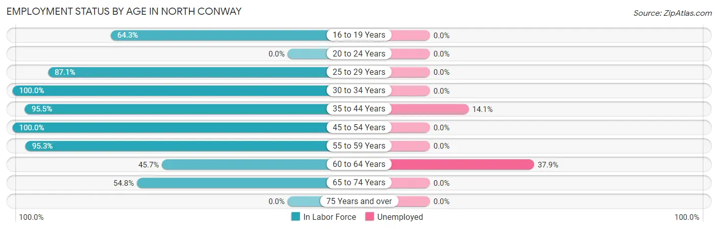 Employment Status by Age in North Conway