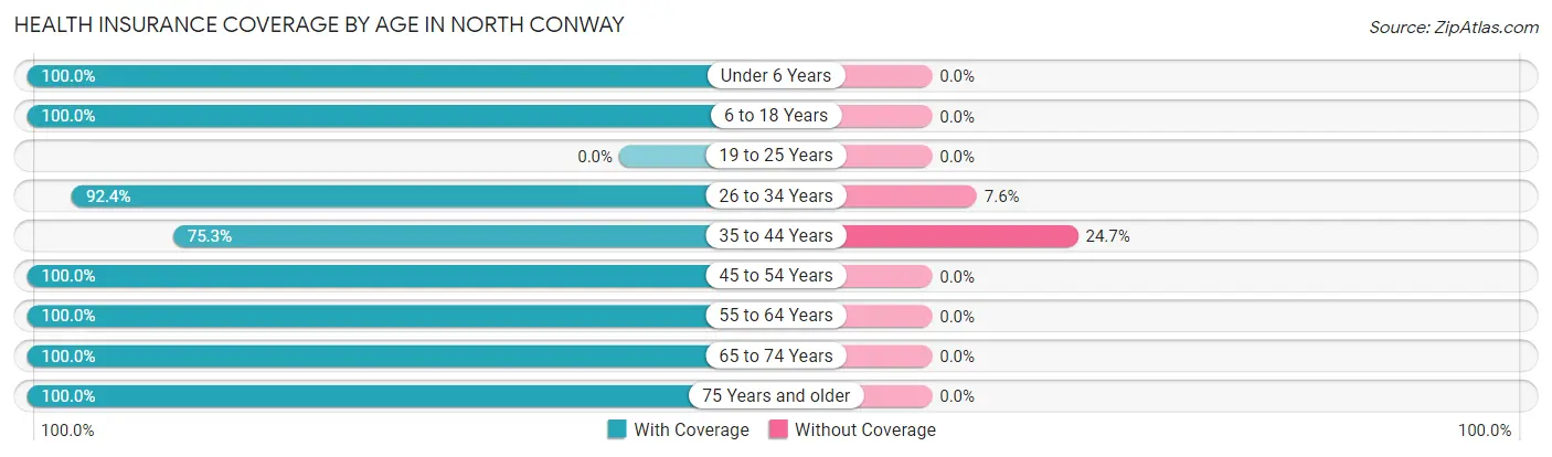 Health Insurance Coverage by Age in North Conway