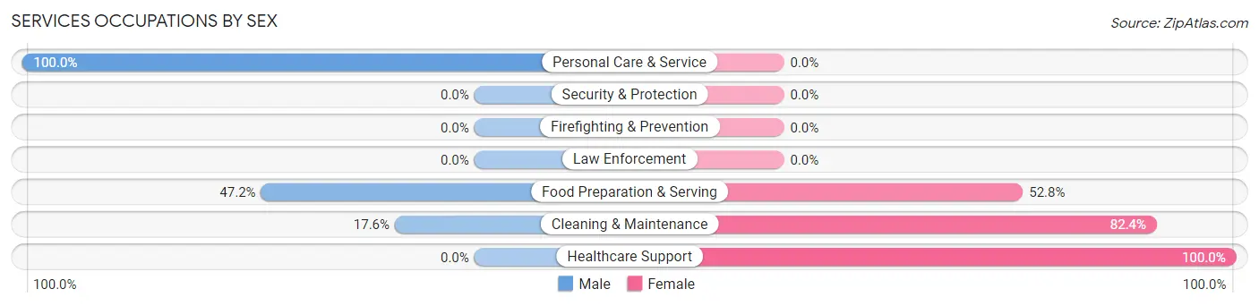 Services Occupations by Sex in North Conway