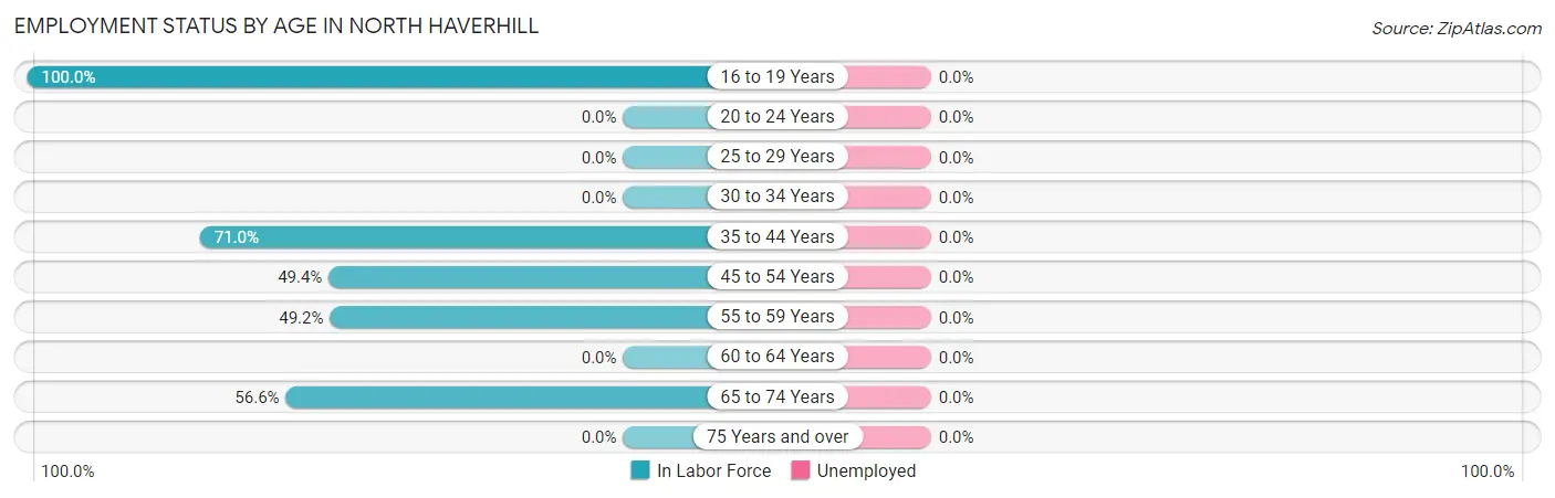 Employment Status by Age in North Haverhill