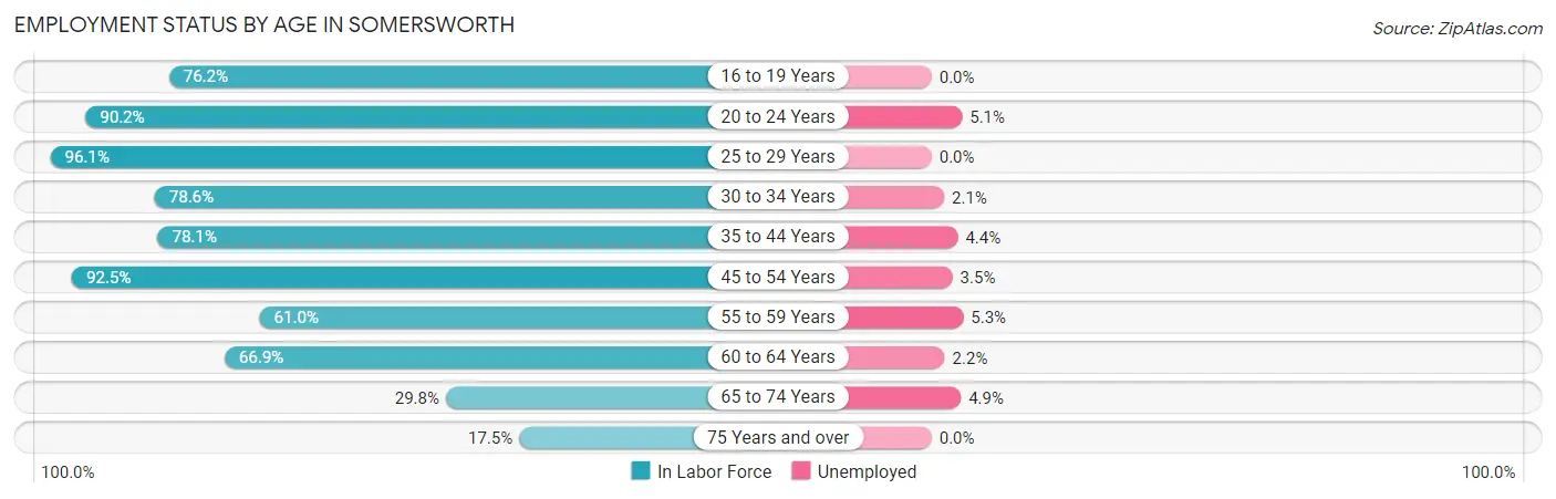 Employment Status by Age in Somersworth