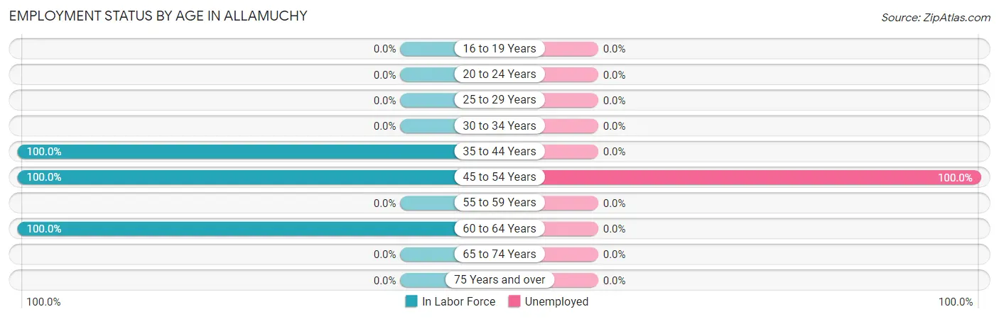 Employment Status by Age in Allamuchy