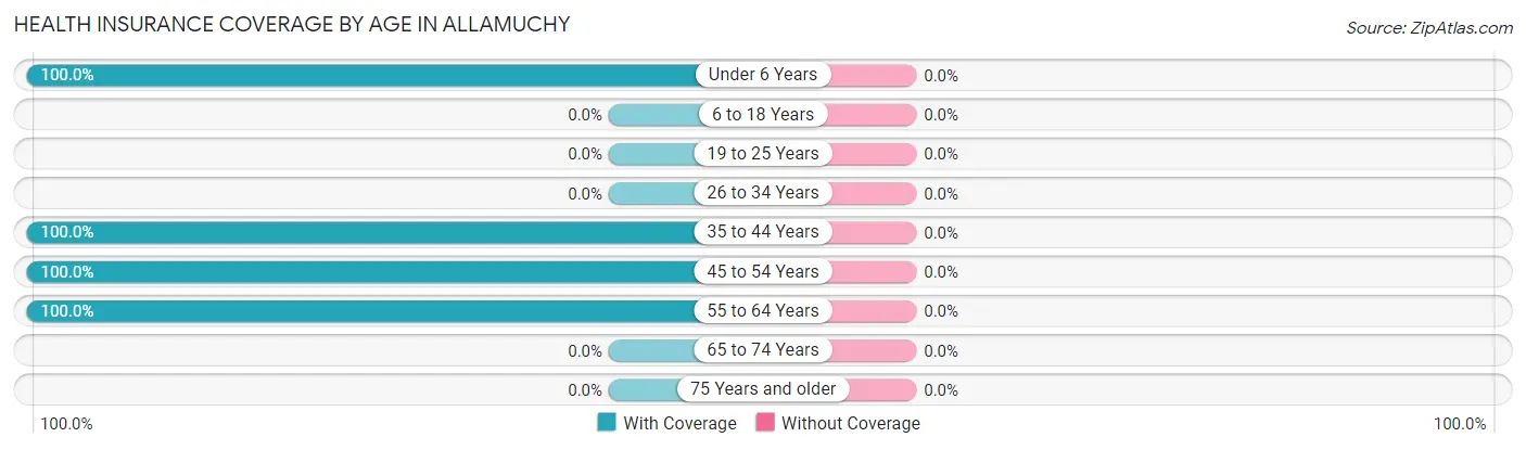 Health Insurance Coverage by Age in Allamuchy