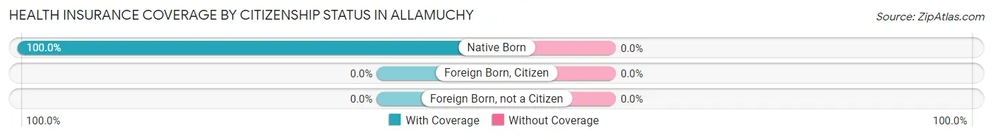 Health Insurance Coverage by Citizenship Status in Allamuchy