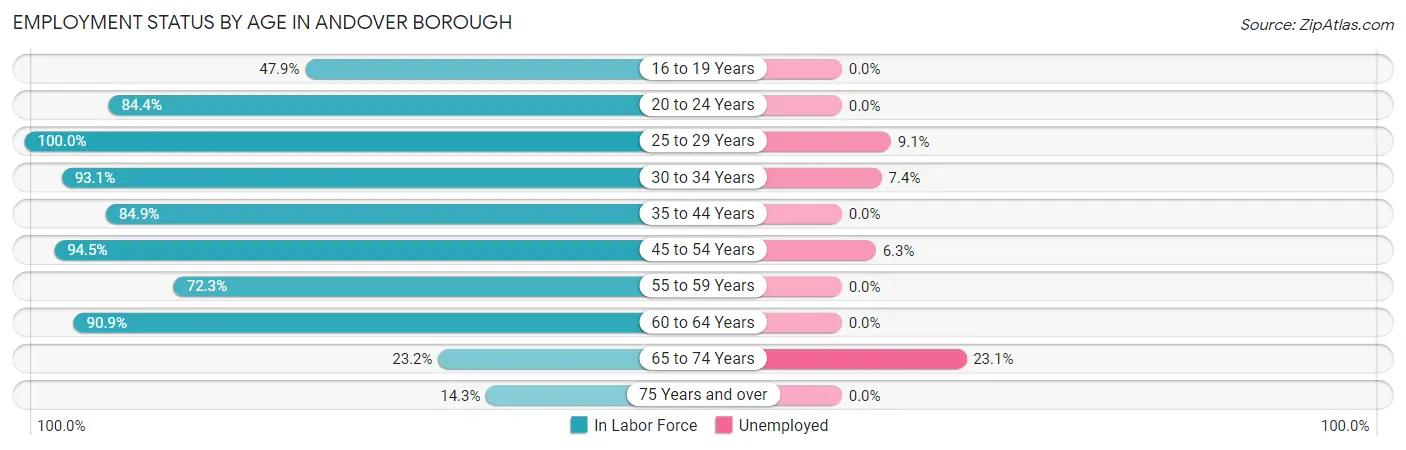 Employment Status by Age in Andover borough