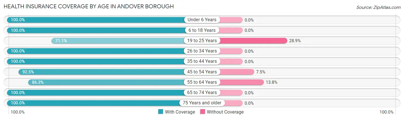 Health Insurance Coverage by Age in Andover borough