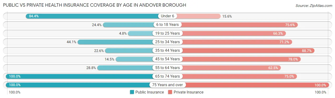 Public vs Private Health Insurance Coverage by Age in Andover borough