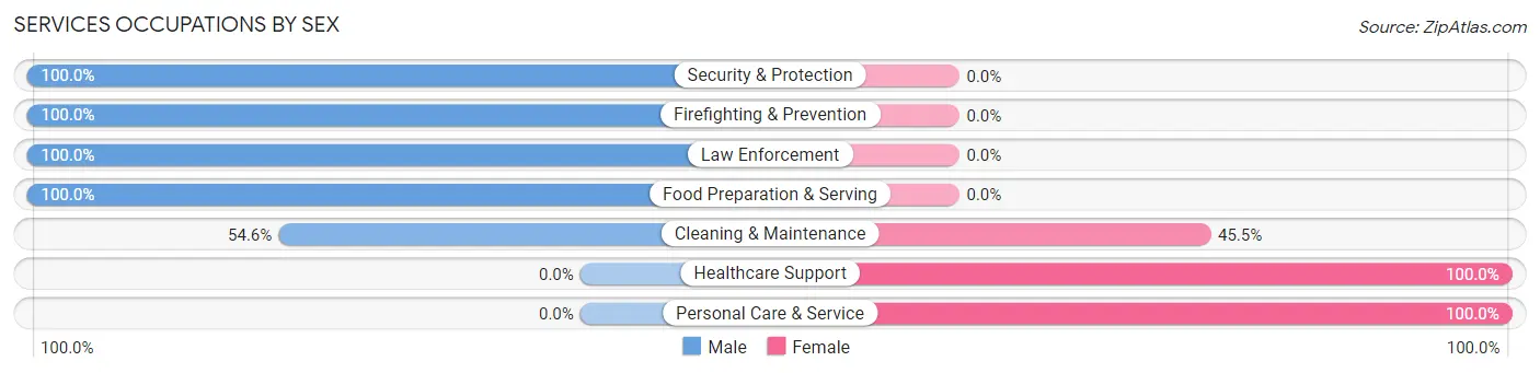 Services Occupations by Sex in Andover borough