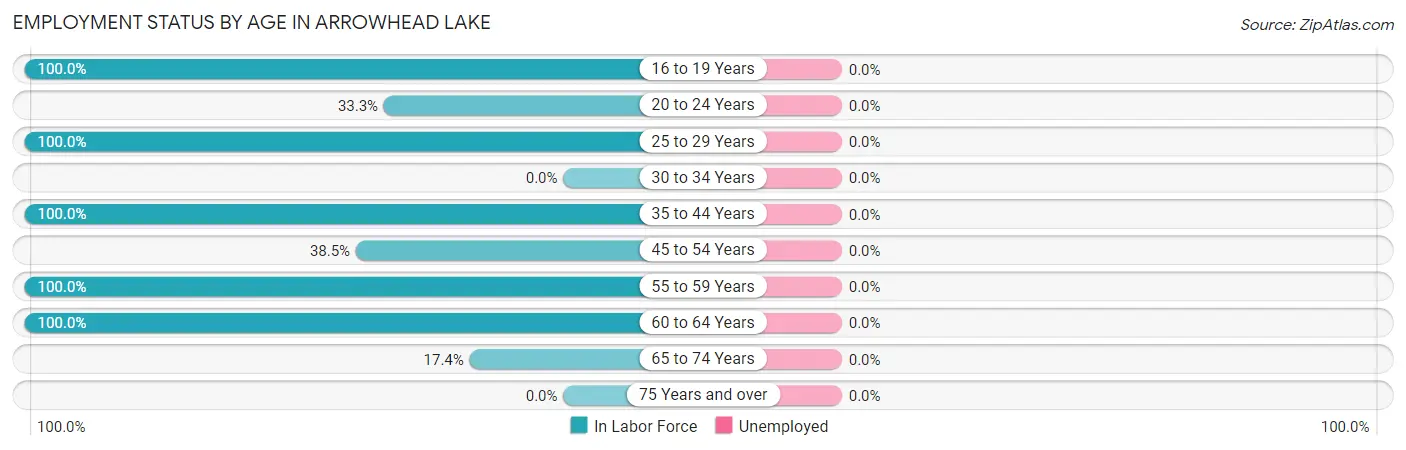 Employment Status by Age in Arrowhead Lake