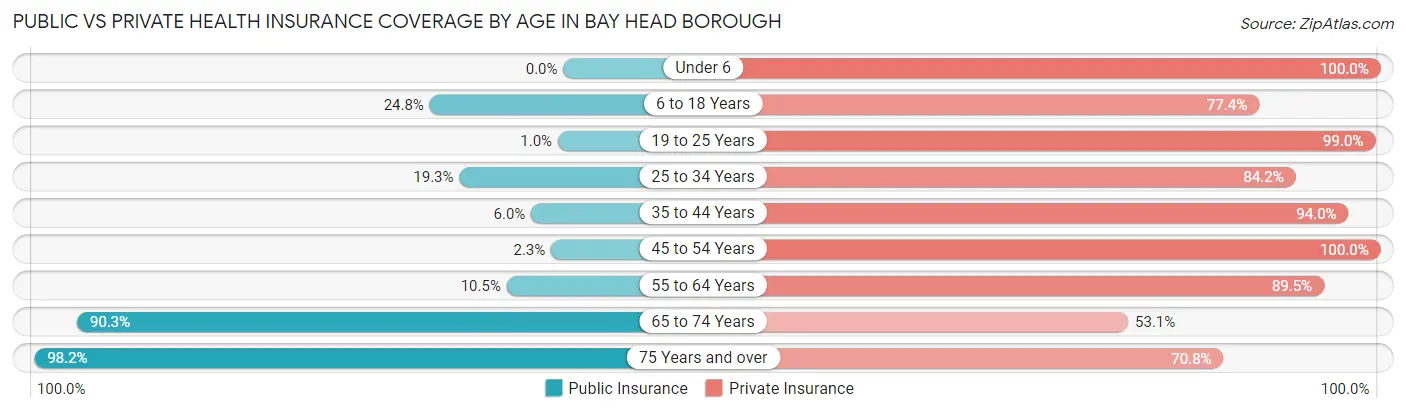 Public vs Private Health Insurance Coverage by Age in Bay Head borough
