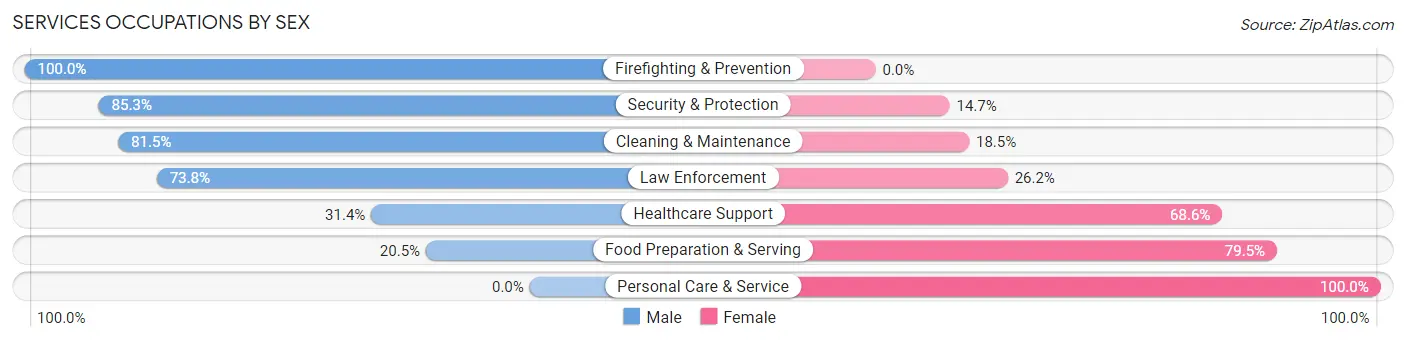 Services Occupations by Sex in Beachwood borough