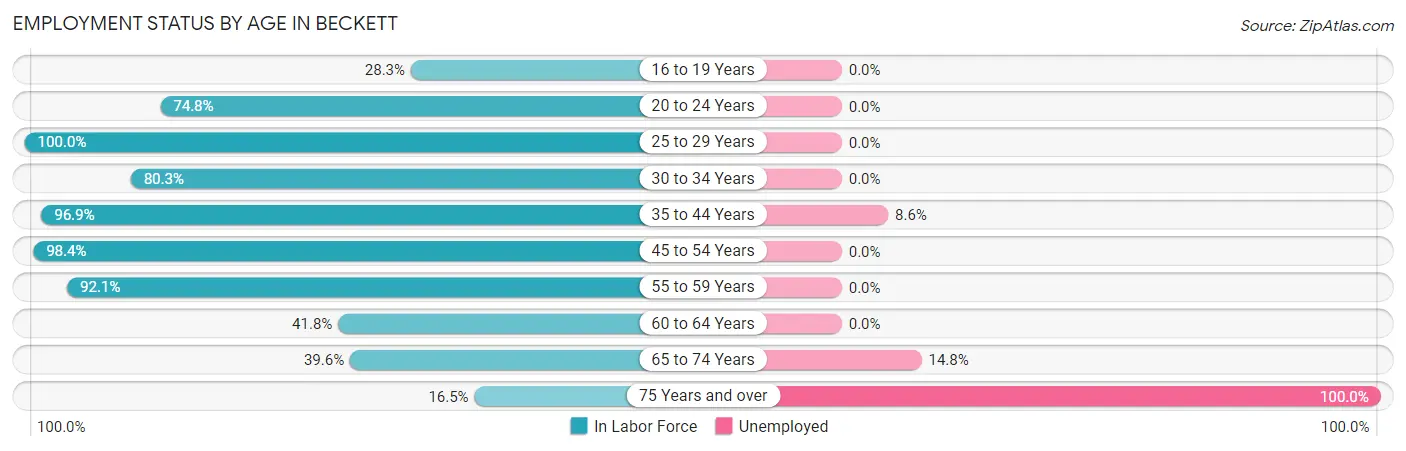 Employment Status by Age in Beckett