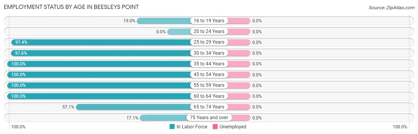 Employment Status by Age in Beesleys Point