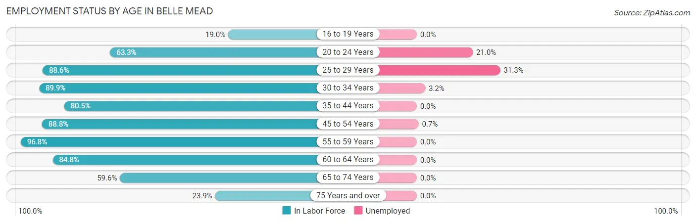 Employment Status by Age in Belle Mead
