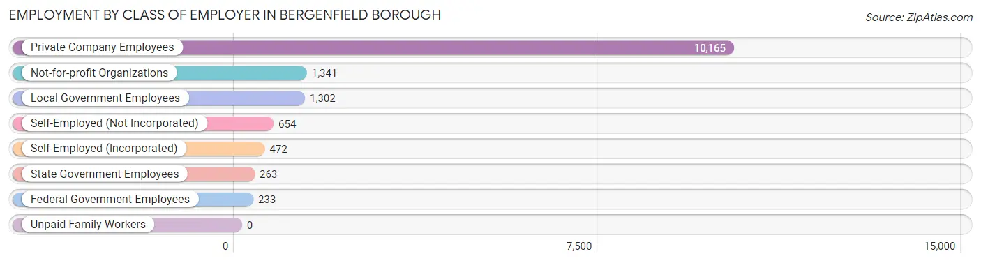 Employment by Class of Employer in Bergenfield borough