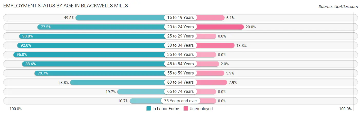 Employment Status by Age in Blackwells Mills