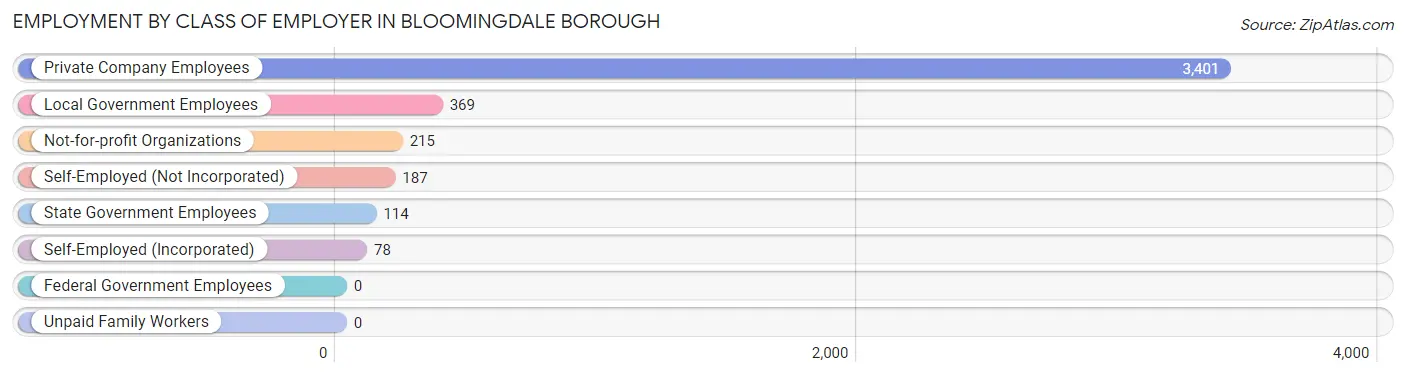 Employment by Class of Employer in Bloomingdale borough
