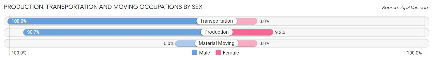 Production, Transportation and Moving Occupations by Sex in Bloomingdale borough