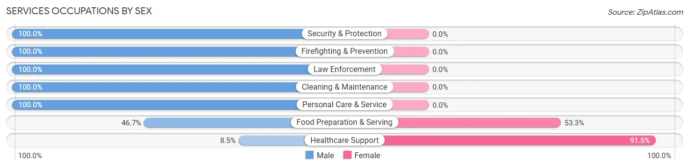 Services Occupations by Sex in Bradley Beach borough