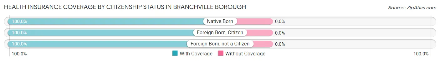 Health Insurance Coverage by Citizenship Status in Branchville borough