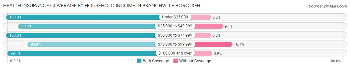 Health Insurance Coverage by Household Income in Branchville borough