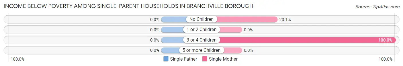 Income Below Poverty Among Single-Parent Households in Branchville borough