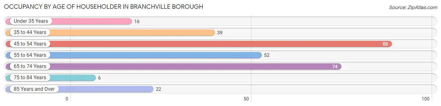 Occupancy by Age of Householder in Branchville borough