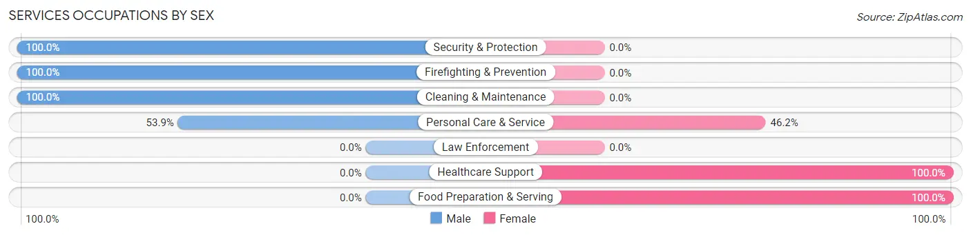 Services Occupations by Sex in Branchville borough