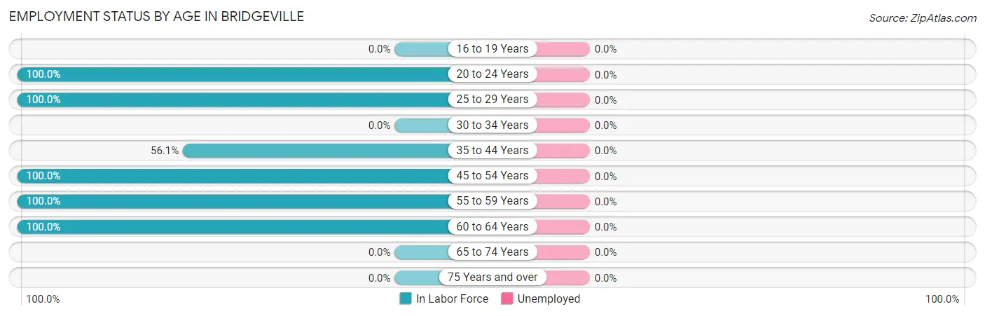 Employment Status by Age in Bridgeville
