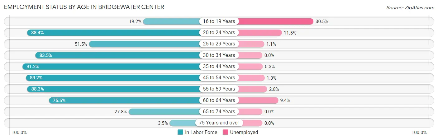 Employment Status by Age in Bridgewater Center