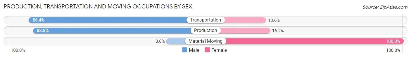 Production, Transportation and Moving Occupations by Sex in Bridgewater Center