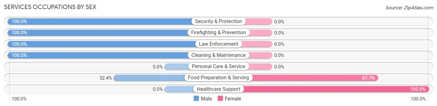 Services Occupations by Sex in Bridgewater Center