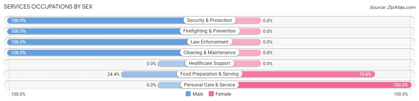 Services Occupations by Sex in Brielle borough