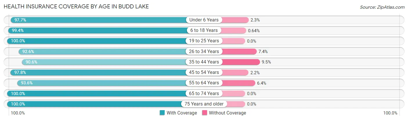 Health Insurance Coverage by Age in Budd Lake