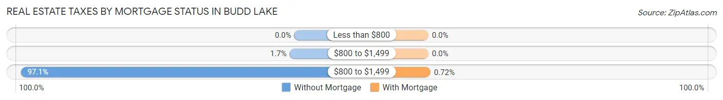 Real Estate Taxes by Mortgage Status in Budd Lake