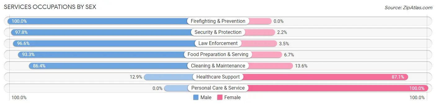Services Occupations by Sex in Budd Lake