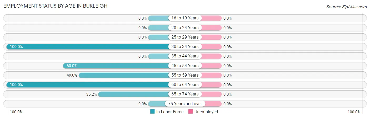 Employment Status by Age in Burleigh