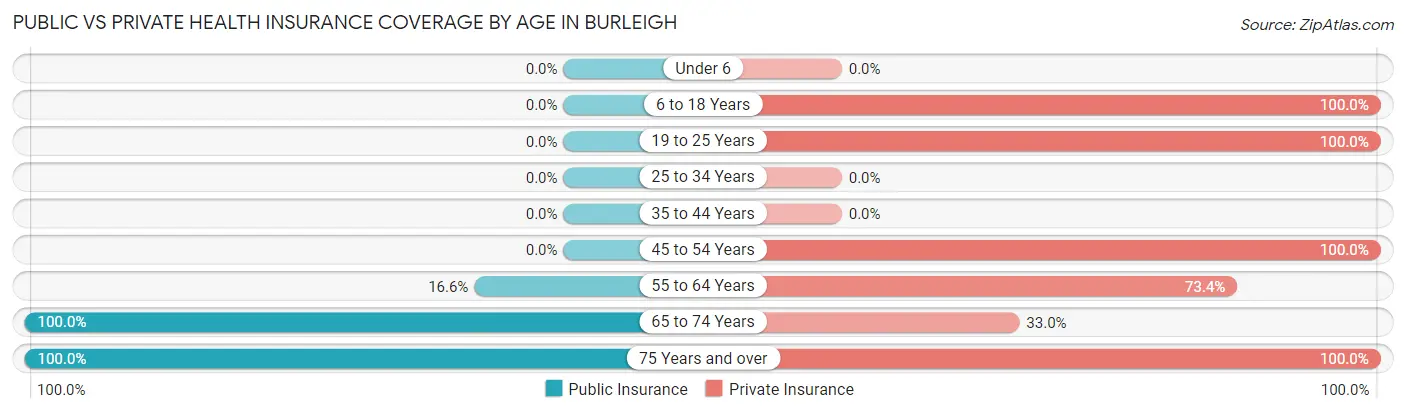 Public vs Private Health Insurance Coverage by Age in Burleigh