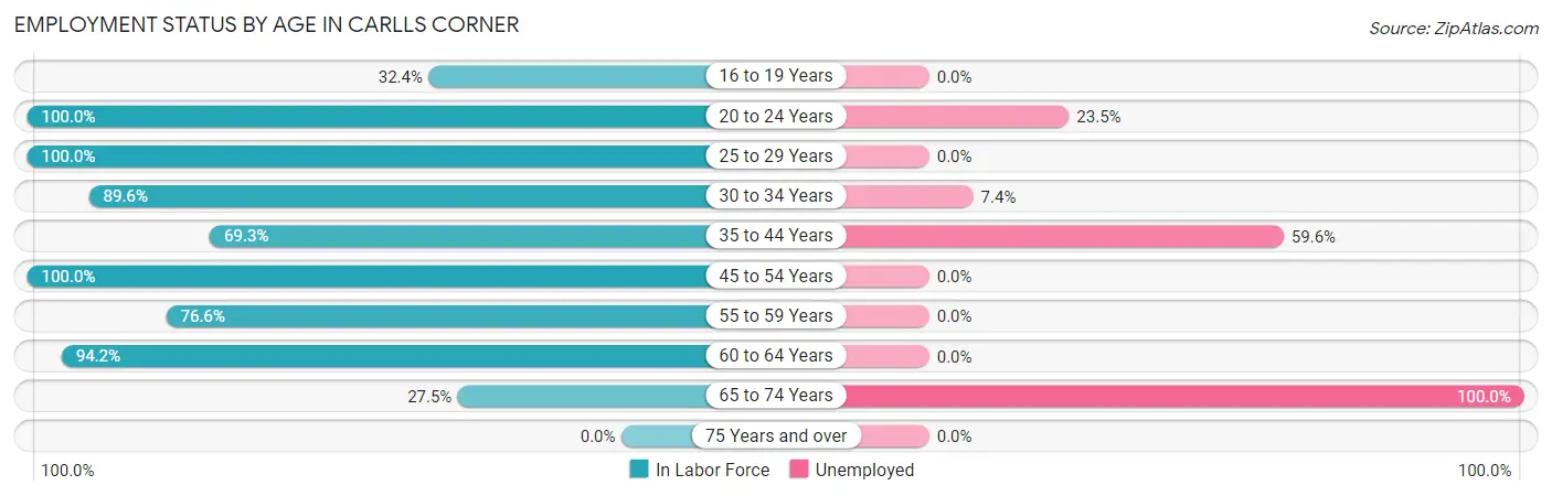 Employment Status by Age in Carlls Corner